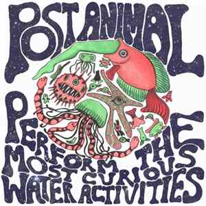 Download Post Animal - Post Animal Perform the Most Curious Water Activities