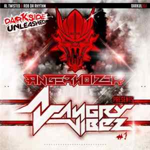 Download Angernoizer - Angry Vibez #1