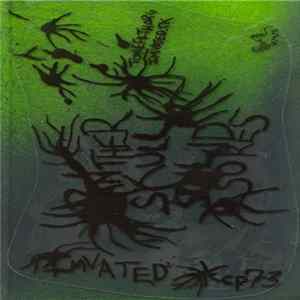 Download Panther Skull - Solid Sores