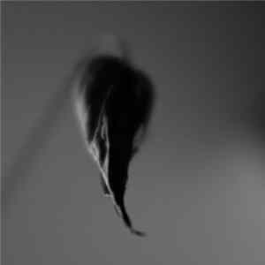 Download Caoine - Walk Backwards Through An Empty Room
