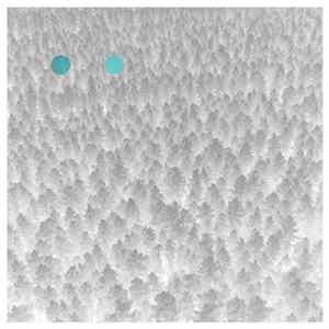 Download Taavi Tulev - ●●