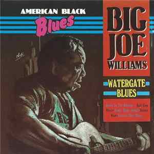 Download Big Joe Williams - Watergate Blues