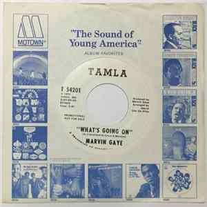Download Marvin Gaye - What's Going On