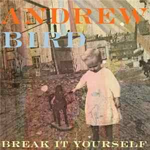 Download Andrew Bird - Break It Yourself