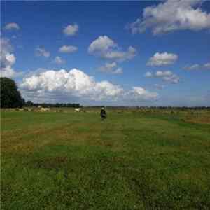 Download Biosphere - The Hilvarenbeek Recordings