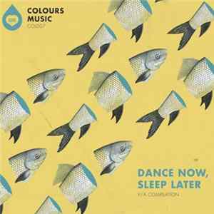 Download Various - Dance Now, Sleep Later