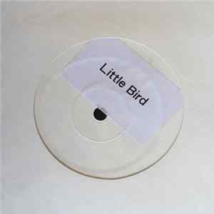 Download Annie Lennox - Little Bird (House Remix)