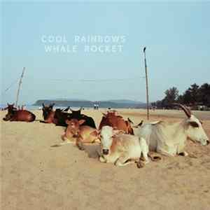 Download Cool Rainbows - Whale Rocket