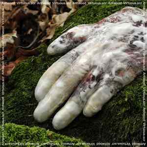 Download Antwood - Virtuous.scr