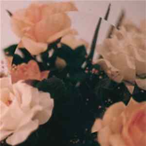 Download Melted Toys / Dominant Legs - Rose Again / Laughing The Whole Time