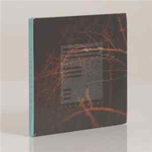 Download Flaamingos - Flaamingos