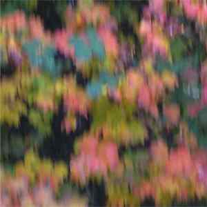 Download This Free Field - Demos