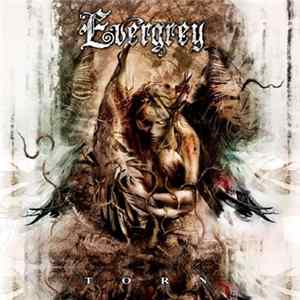 Download Evergrey - Torn