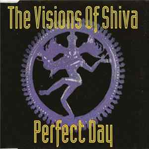 Download The Visions Of Shiva - Perfect Day