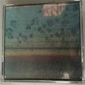 Download CHASTE - Tenement Housing Feels So Right