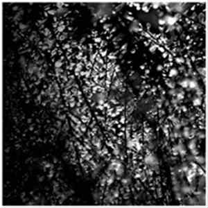 Download Various - Christmas