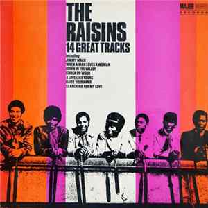 Download The Raisins - 14 Great Tracks