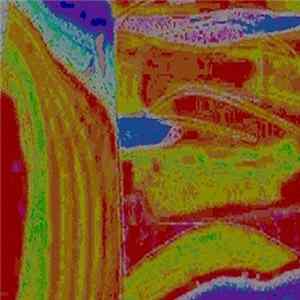 Download mhz_ - Mental Sumner Wrap Up