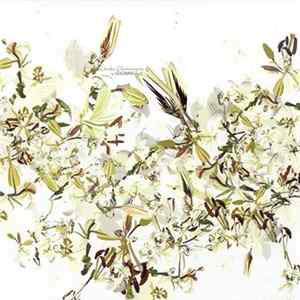 Download Luciano - Etudes Electroniques