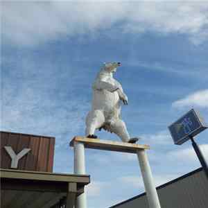 Download Ryan Fagan - Polar Bear
