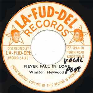 Download Winston Heywood - Never Fall In Love / Version 2