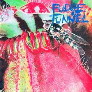 Download Fudge Tunnel - Creep Diets