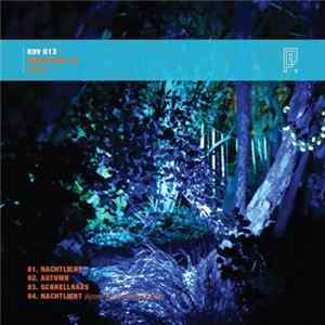 Download Dieb - Nachtlicht