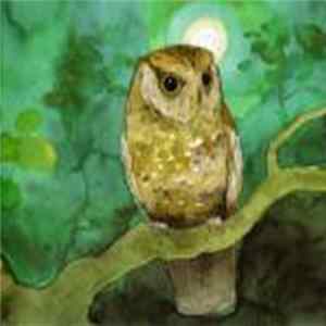 Download Sleeping At Last - Storyboards