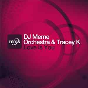 Download DJ Meme Orchestra & Tracey K - Love Is You