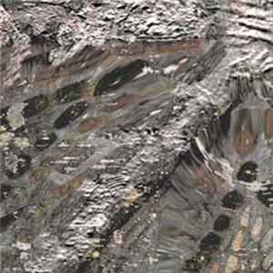 Download Nigel Ayers & Randy Greif - Build A Poison Fire