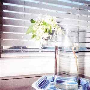 Download Jandek - Portland Thursday