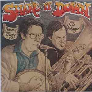 Download Jimmy Mazzy And Eli Newberger - Shake It Down