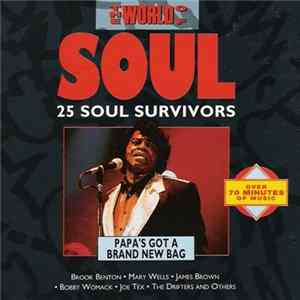 Download Various - The World Of Soul / Papa's Got A Brand New Bag