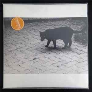 Download Gone To Waste - Barking Dogs Don´t Bite