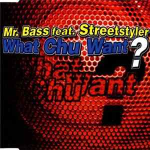 Download Mr. Bass Feat. Streetstyler - What Chu Want?