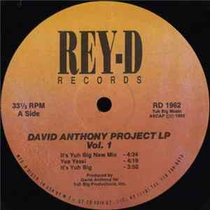Download David Anthony - David Anthony Project LP Vol. 1
