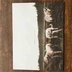 Download Foxing - The Albatross