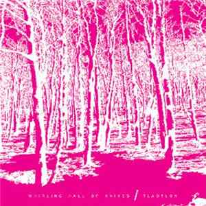Download Tlaotlon / Whirling Hall Of Knives - Attitudes Blankets To Nada / Synapse Snaps