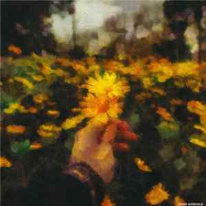 Download Blank Embrace - Spring Waves