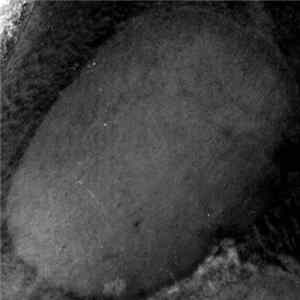 Download Convalescent - Before Sunrise