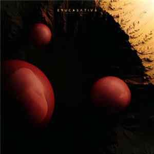 Download Eruca Sativa - Barro y Fauna