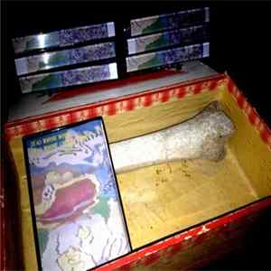 Download Dead Whore House - Dead Whore Collection