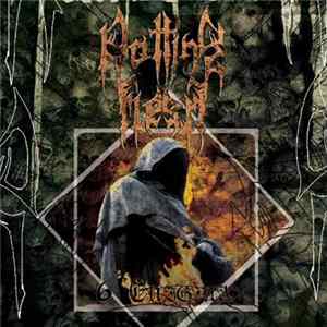 Download Rotting Flesh - 6 Enigma