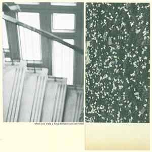 Download Mothers - When You Walk A Long Distance You Are Tired