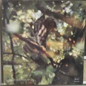 Download Claudio Rocchi - Essenza