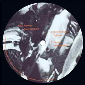 Download Acronym - River Red Gum