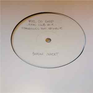 Download Funkaholics Feat. Nathalie - Feel So Good