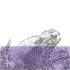 Download Pioggia d'Ambra - Untitled