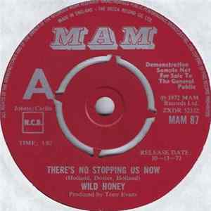Download Wild Honey - There's No Stopping Us Now