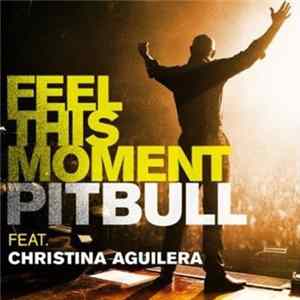 Download Pitbull Feat. Christina Aguilera - Feel This Moment